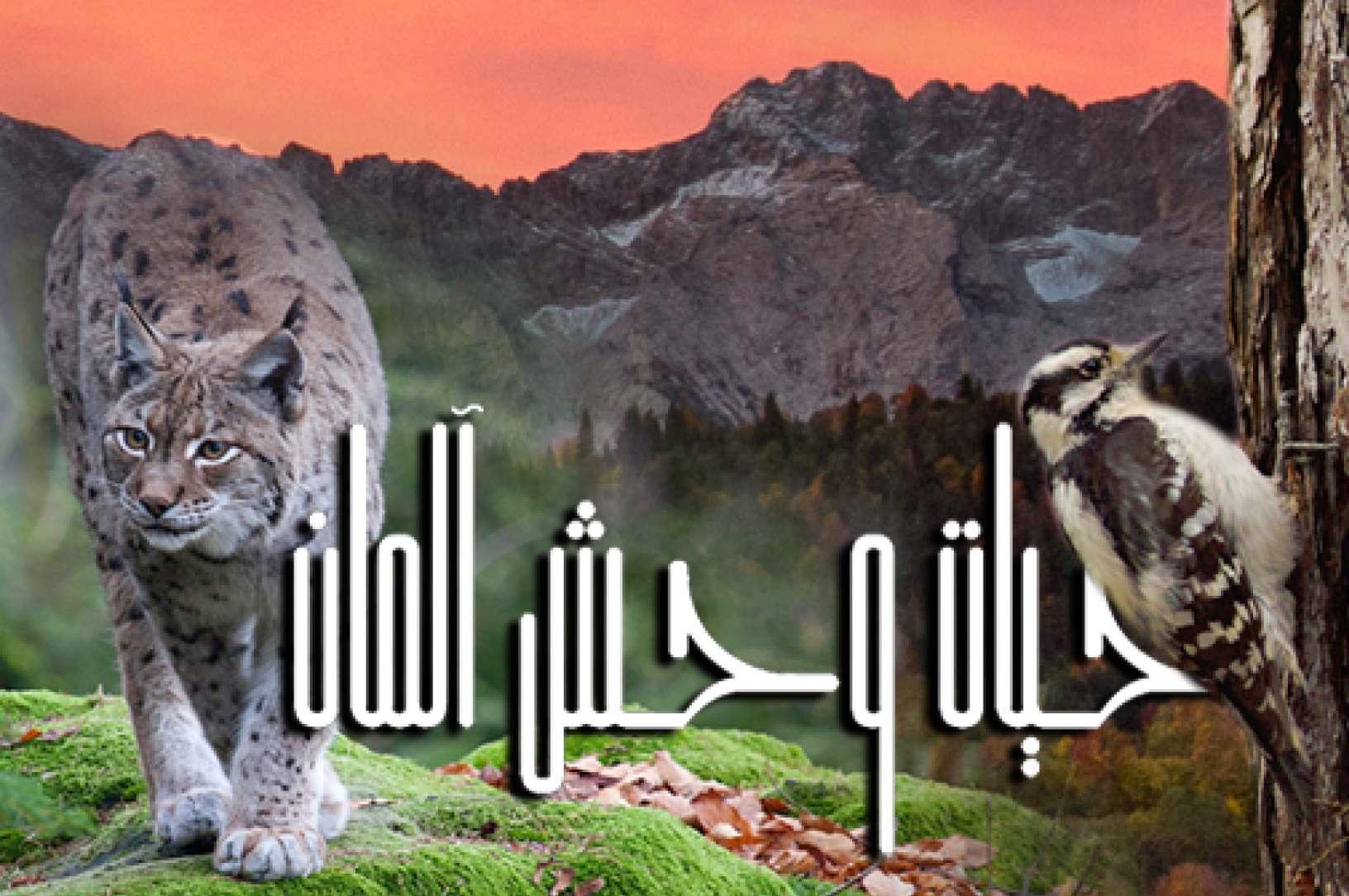 حیات وحش آلمان-قسمت ۷