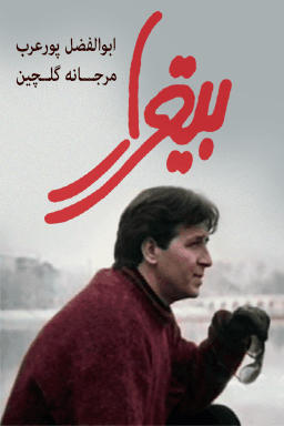 بیقرار