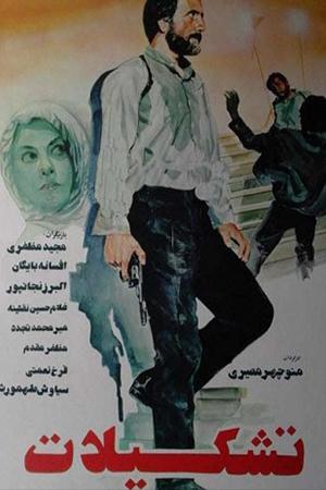 تشکیلات