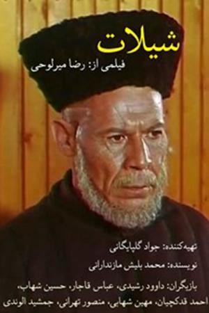 شیلات