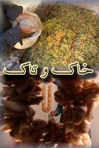 خاک و تاک