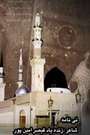 نماهنگ نی نامه