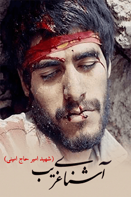 آشنای غریب
