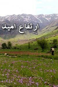 ارتفاع امید