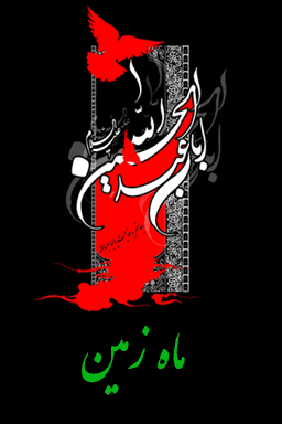 ماه زمین