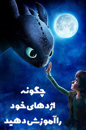 چگونه اژدهاتون رو آموزش بدید