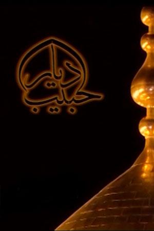 دیار حبیب