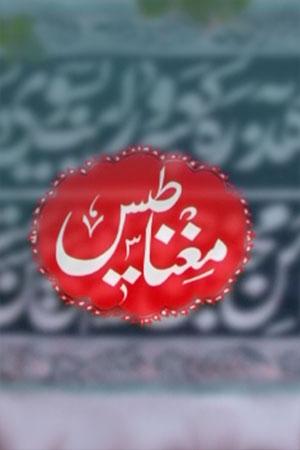 مغناطیس ۳