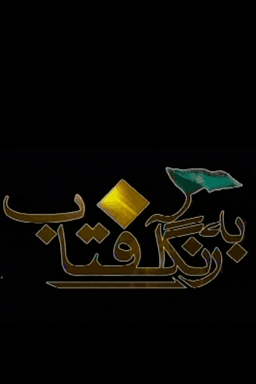 به رنگ آفتاب - حضرت زینب (س) و شام غریبان